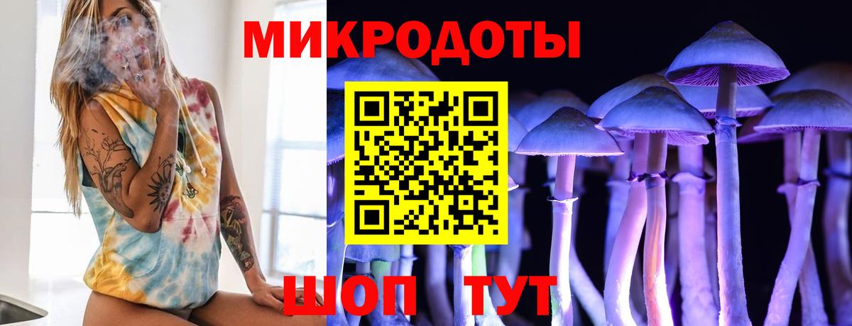 Шахты  Псилоцибиновые грибы GOLDEN TEACHER  Псилоцибиновые грибы Psilocybe  Вход с VPN 